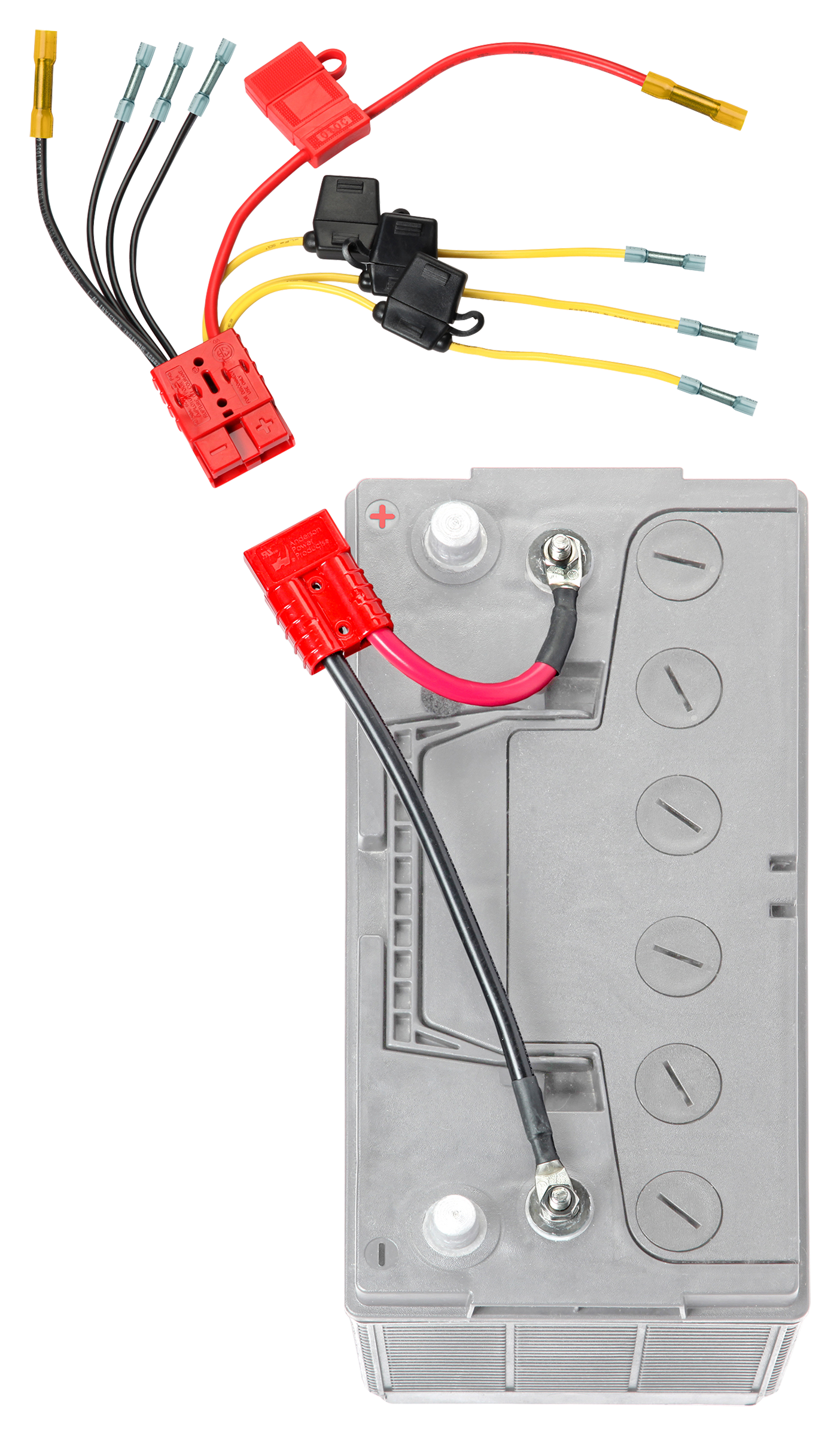 Connect-Ease 12V Multi Fused Connection Kit with 4 Fuses | Bass Pro Shops